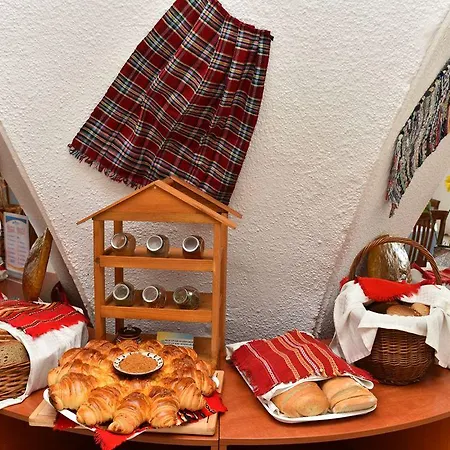 Хотел елица