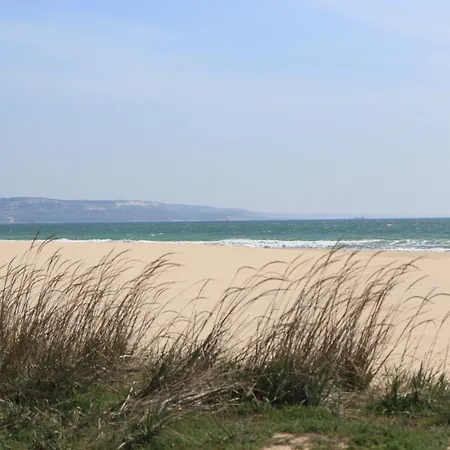 Хотел елица