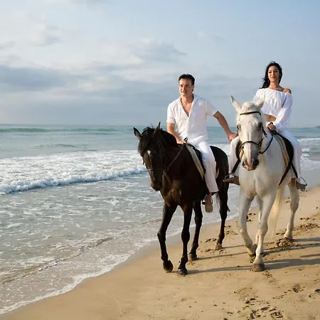 Хотел елица 3*